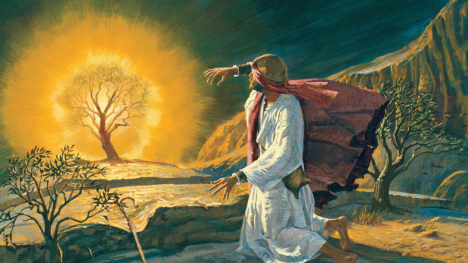 El Fuego que No Consume: La Revelación de HaShem en la Zarza Ardiente